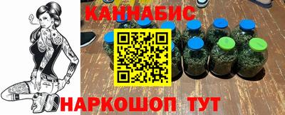 шишки Изобильный
