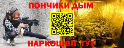шишки Изобильный