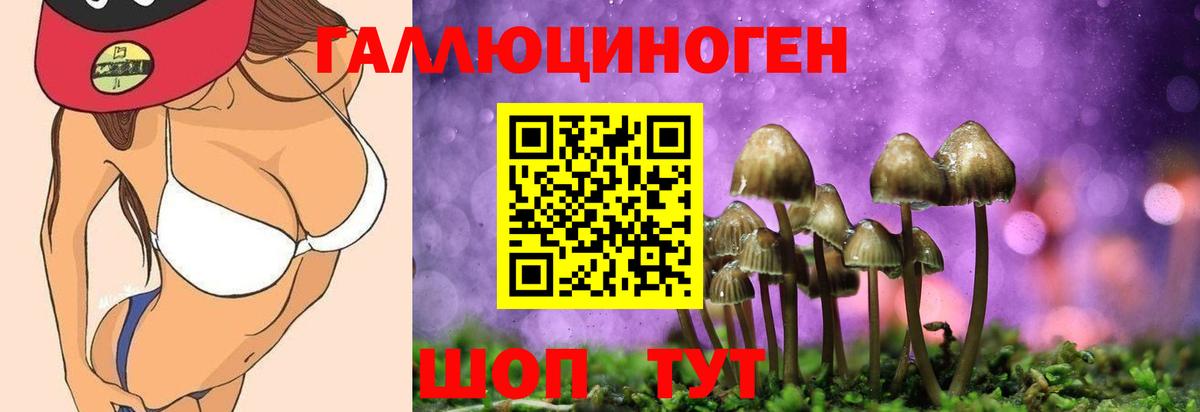 Псилоцибиновые грибы Psilocybine cubensis  купить наркотик  Дзержинск  Вход с VPN 